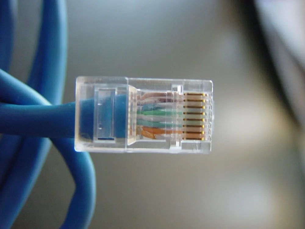 A close-up of a transparent 8P8C plug on the end of a blue patch cable. Inside the clear plastic body the eight conductors run straight and parallel to the eight gold contacts at the front. The twisting stops where the wires enter the plug.